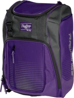 Rawlings Franchise Personal Equipment Backpack FRANBP -Rawlings Store rawlings franchise personal equipment backpack franbp 57